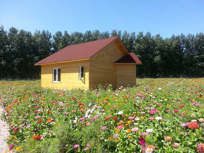造型艺术与实用价值 花卉与蔬菜的种植造型新趋势