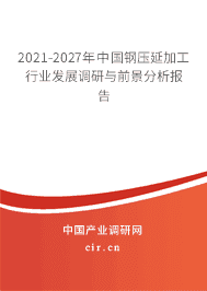 2021年钢压延加工行业发展前景分析